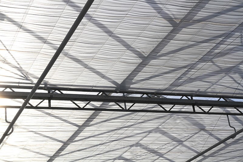 IMG_4587 - Manmade lines