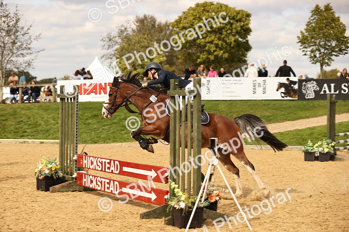 SBM_47604 - J9 - Junior Pony 70cm Championship