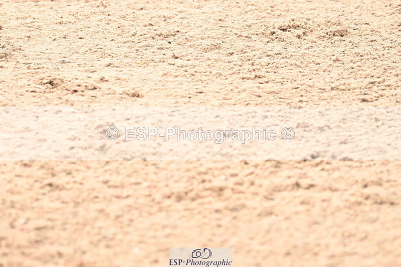 240801A-140257-01902 - Cls 4 Chard 7 Yr Old Championships