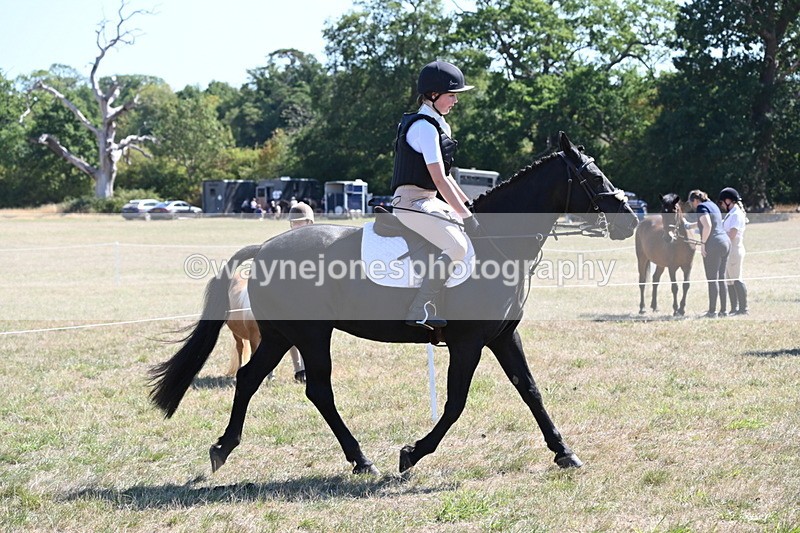 WJ6_8323 - Class 37a Best Loan Pony Ridden