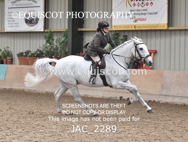 JAC_2289 - CLASS 2 Novice Working Hunter