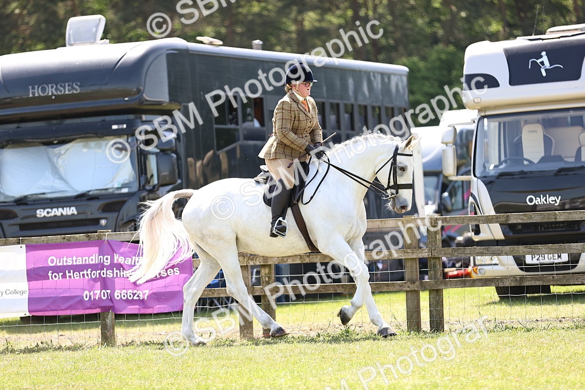 SBM_16219 - Class 79-80 - LIHS BSHA Rising Star Ridden Hunter