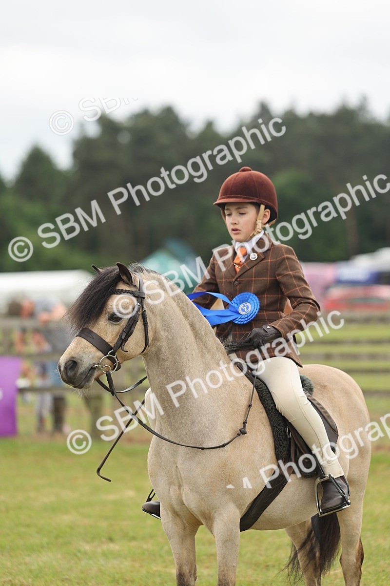 SBM_07148 - Class 76-77 - Ridden M&M Welsh Ponies