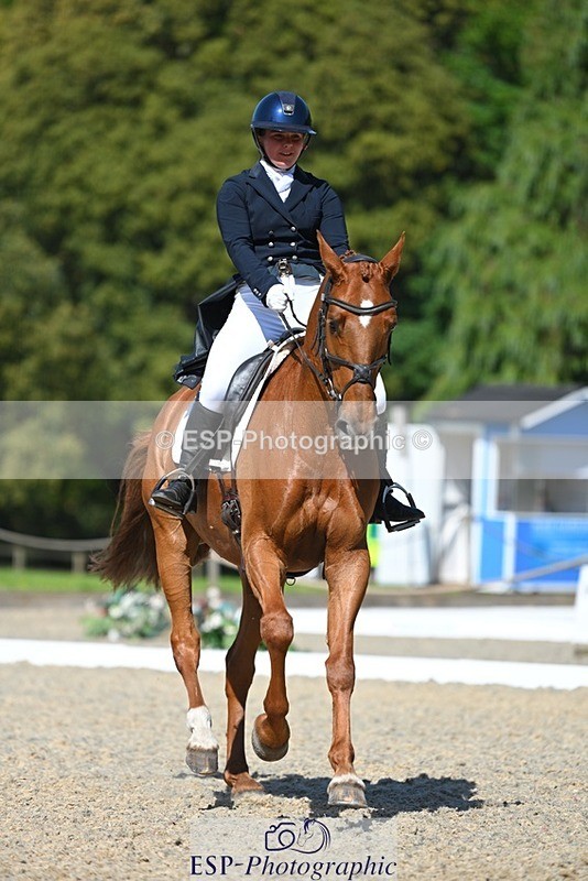 230526-155511-07212 - 251-CLASS_MOVE-Ellie_Healy-WEDTrotUp+DR