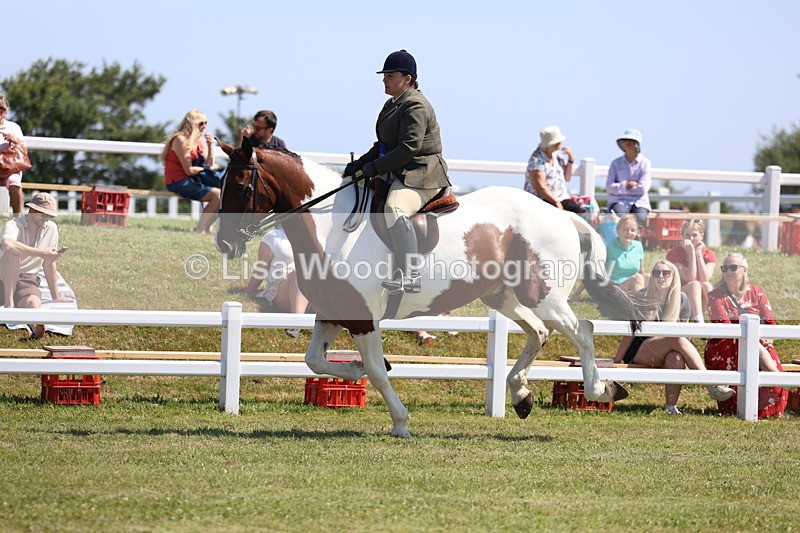 3E7A7553 - Rising Star Ridden Championship