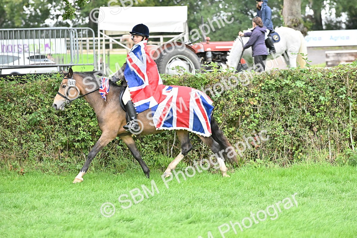 SBM_42956 - S12 - Family Horse & Pony