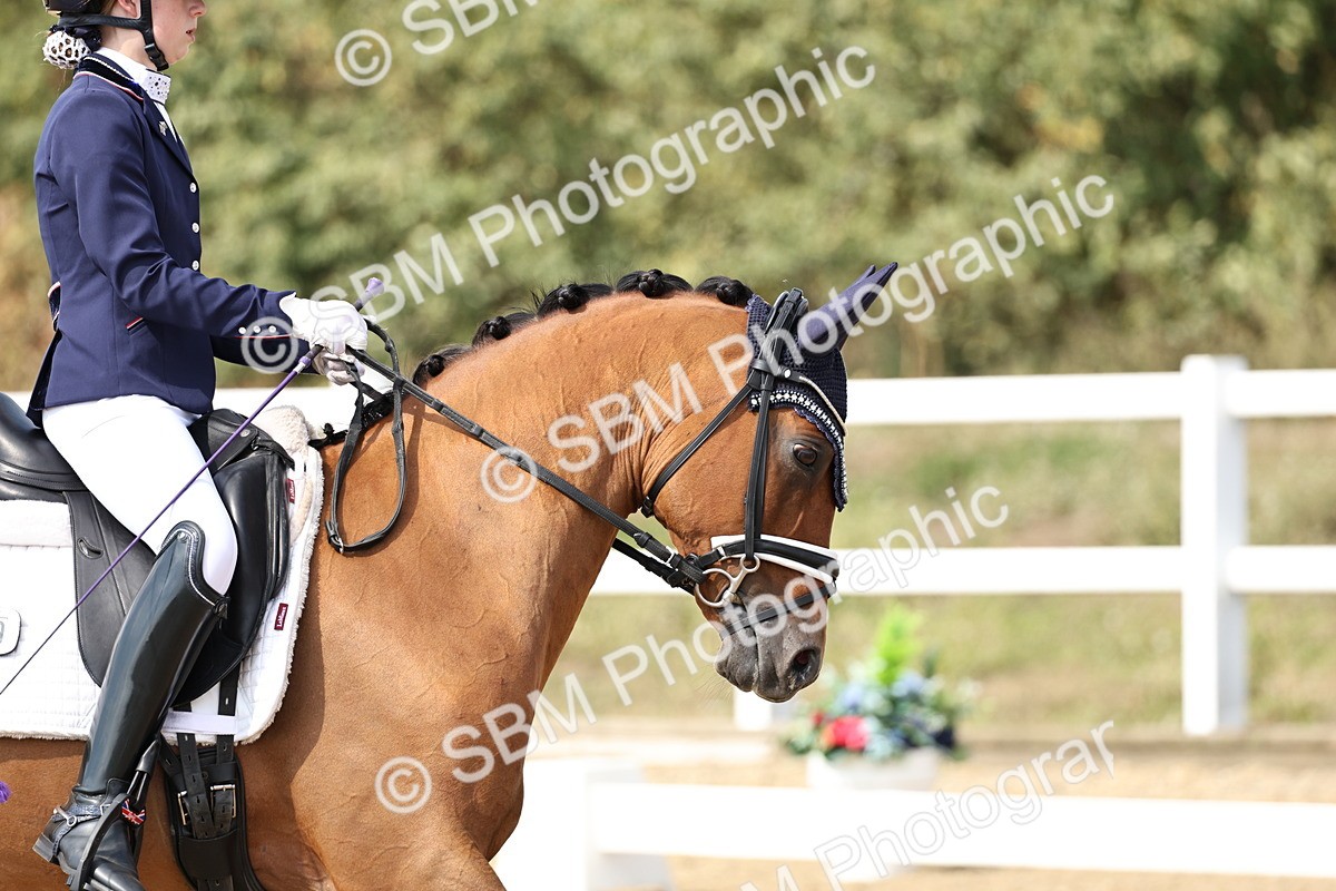 SBM_014828 - Class 7 - Medium 3