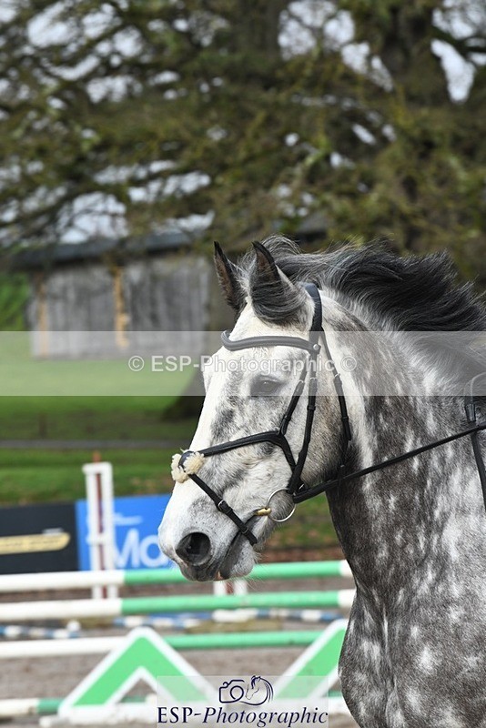 240218-112331-02186 - SJ 10 to 11