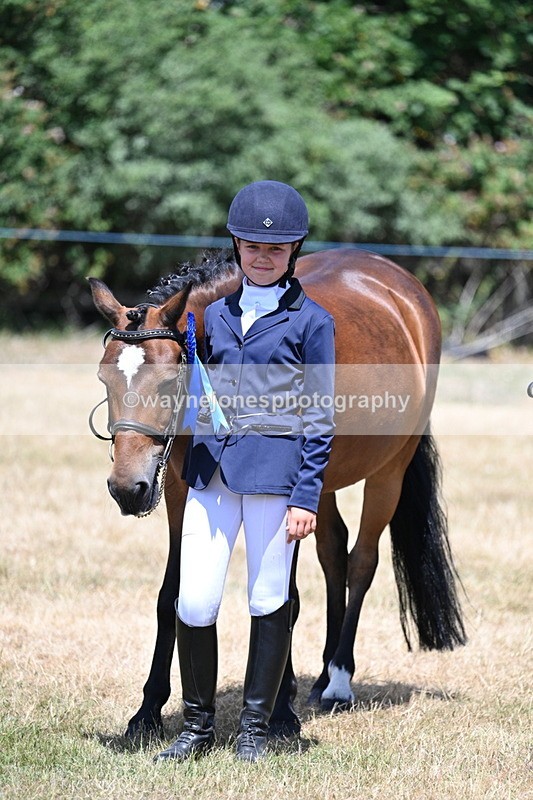 WJ7_2279 - Class 5 Most Handsome Gelding (up to 14.2hh) in hand