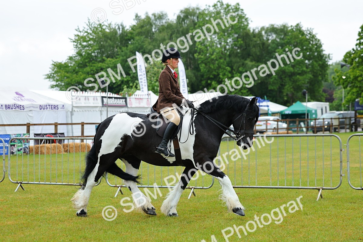 SBM_00894 - Class 1-4 - BSPA Ridden