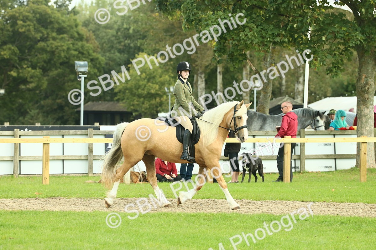 SBM_62644 - S63 - Other Coloured Horse Ridden