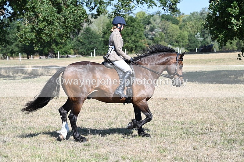 WJ7_3948 - Class 9 Mountain & Moorland Ridden