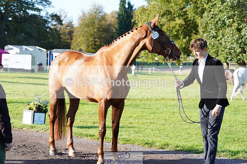 241026-101208-11683 - 017-Louis.Pern-CLASSICTOP.MISS.VIVIENNE