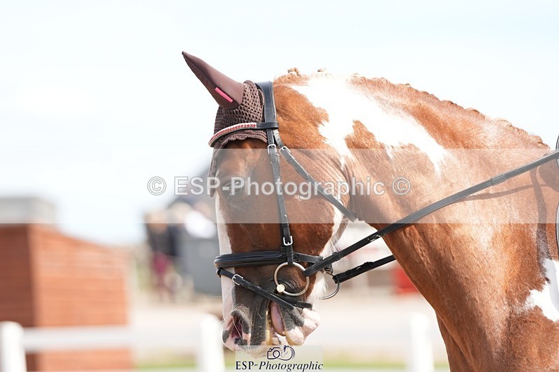 250906-131150-03546 - 016-Sarah.canningJohnny.Knoxville