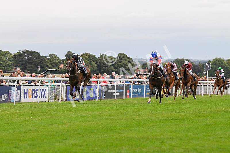 150824-Race 5-Pons Aelius-8286 - Race 5