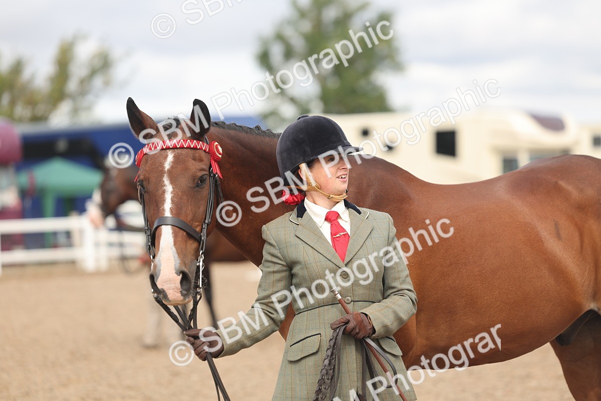 SBM_04490 - Class 18 - Handsomest Gelding (IH or Ridden)