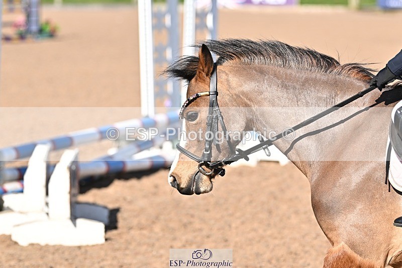 250401-160414-00020 - Clear round