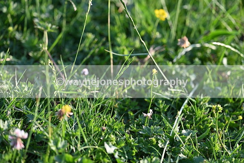 WJ7_0148 - Time 19:22 to 19:36