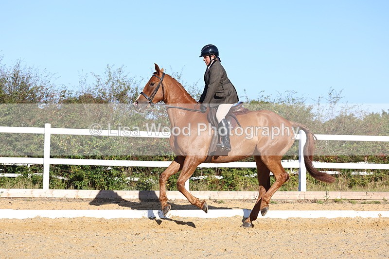 3E7A5201 - Class 7: Novice Ridden Hunter/Hack/RH/Cob