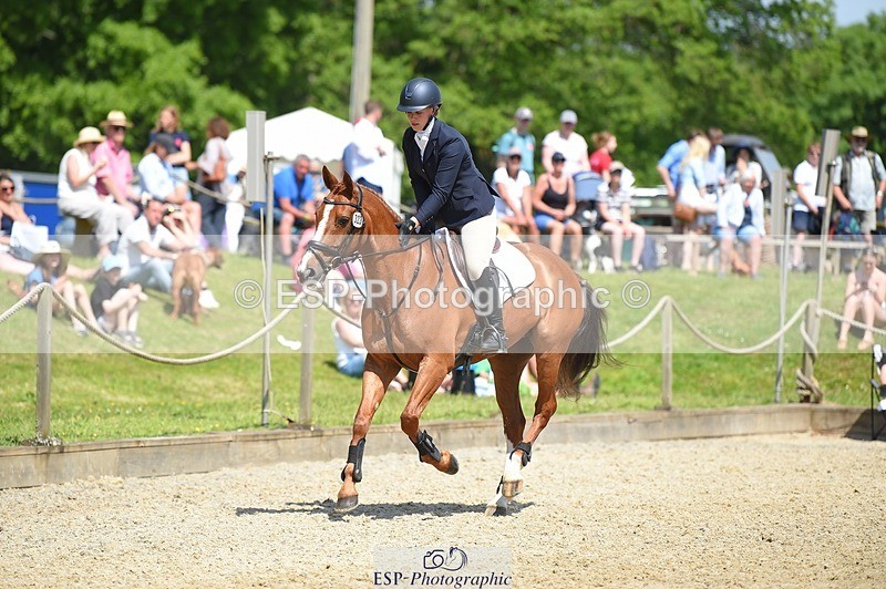 230528-113320-15261 - 323-CHESTNUT_BOBBY-Molly_Fletcher-SUNTrotUp+SJ