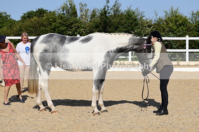 1X9A0748 - Class 4: Youngstock 1, 2, 3 year old to exceed 153cm