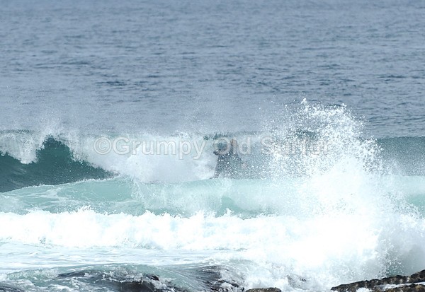 DSC_0101 - Ireland 25th August 2014