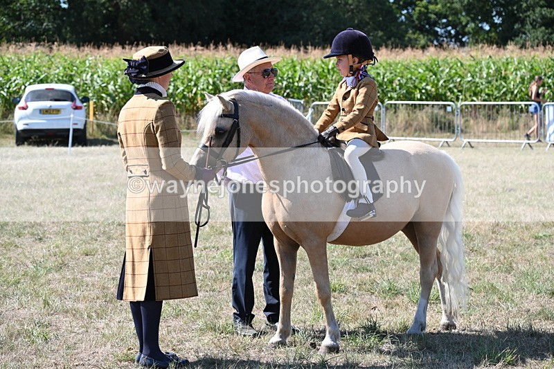 WJ6_8034 - Class 36 Lead Rein