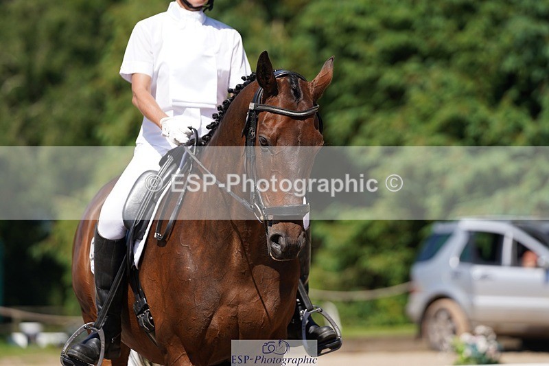 240719-151206-02552 - 129-Julie_Wheeler-Be_My_Scout