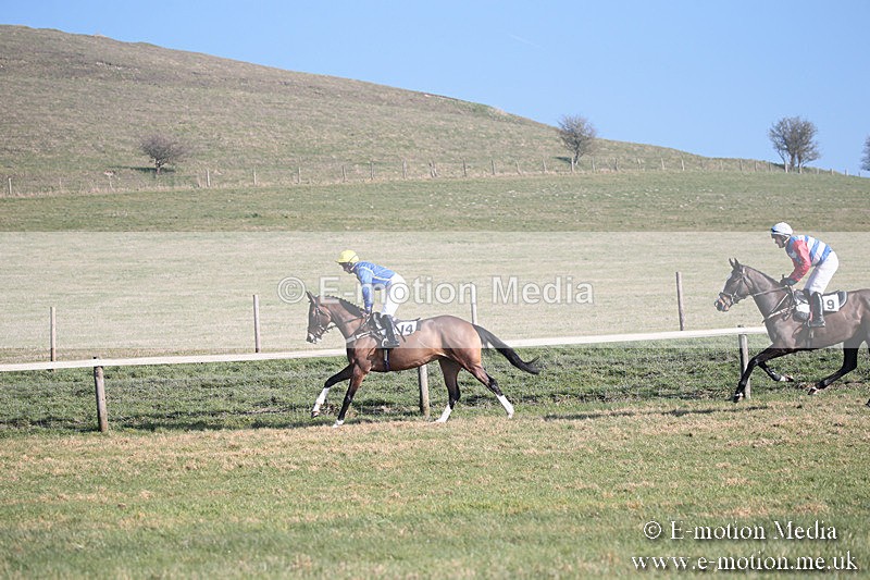 PtP 230219 132 - Vine & Craven Point-To-Point - Barbury 23/02/19