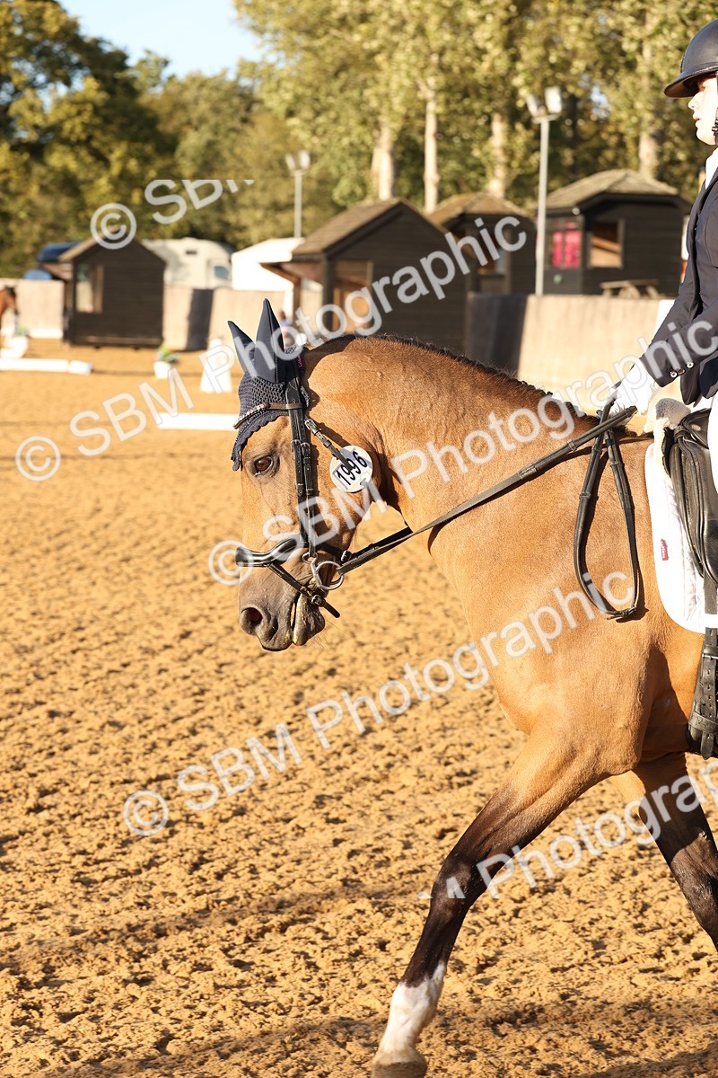 SBM_52907 - D12 - Small Tour Championship prelim 2
