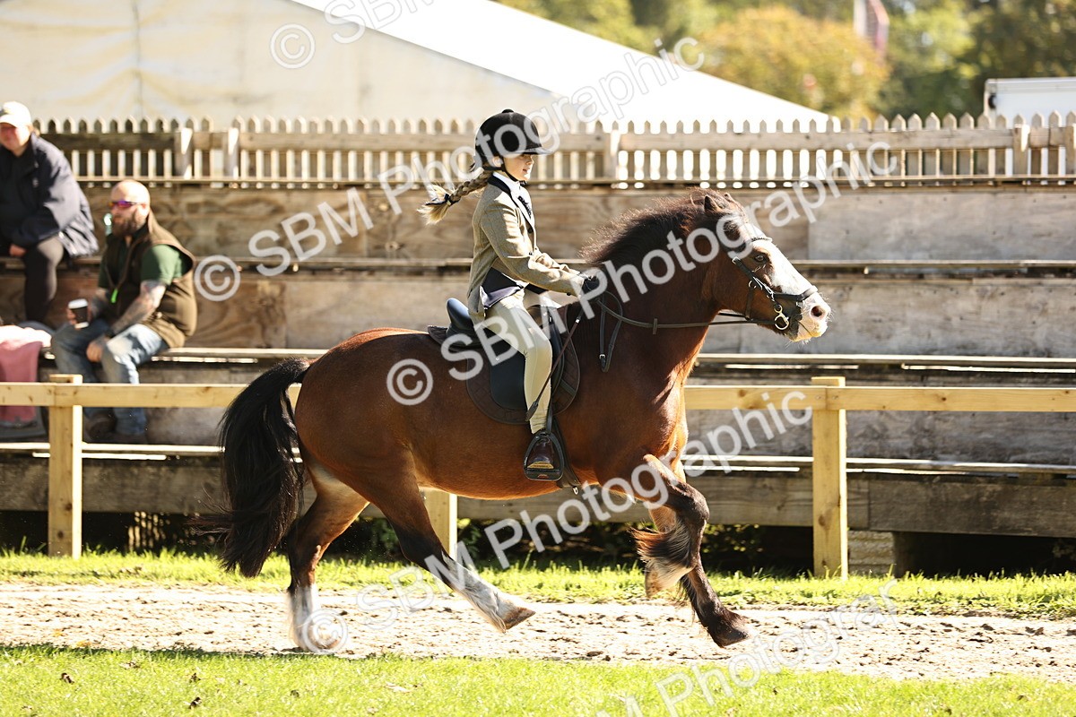 SBM_19164 - S3 - TSR Ridden Pony Showing