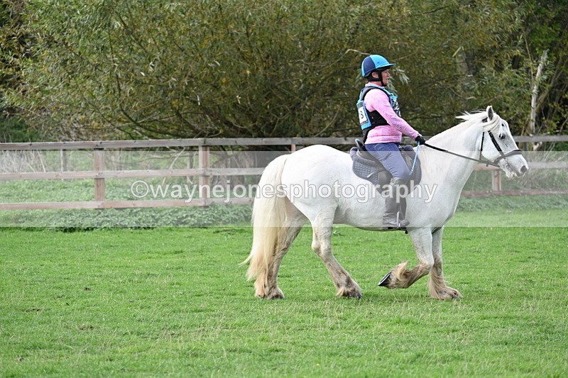 WJ7_9811 - Time 13:13 to 13:55