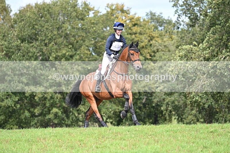 WJ7_2446 - Time 13:55 to 14:05