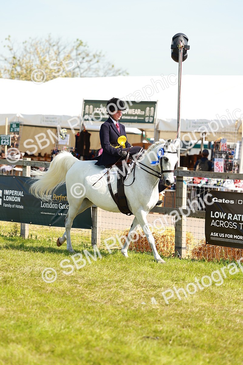 SBM_13290 - Class 70-71 - Side Saddle