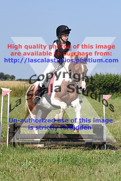 SNCP_0185 - N Group