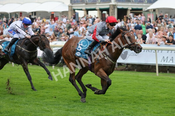 yr04092022r1-27 - Race 1 1.45pm IRE Incentive, It Pays To Buy Irish EBF Novice Stakes