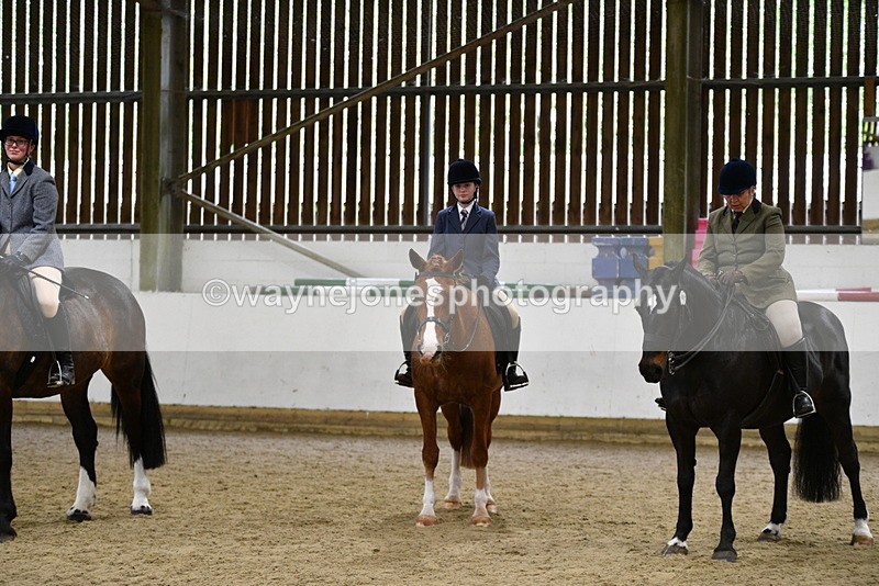 WJ5_8054 - Class 13 Ridden Part Breed