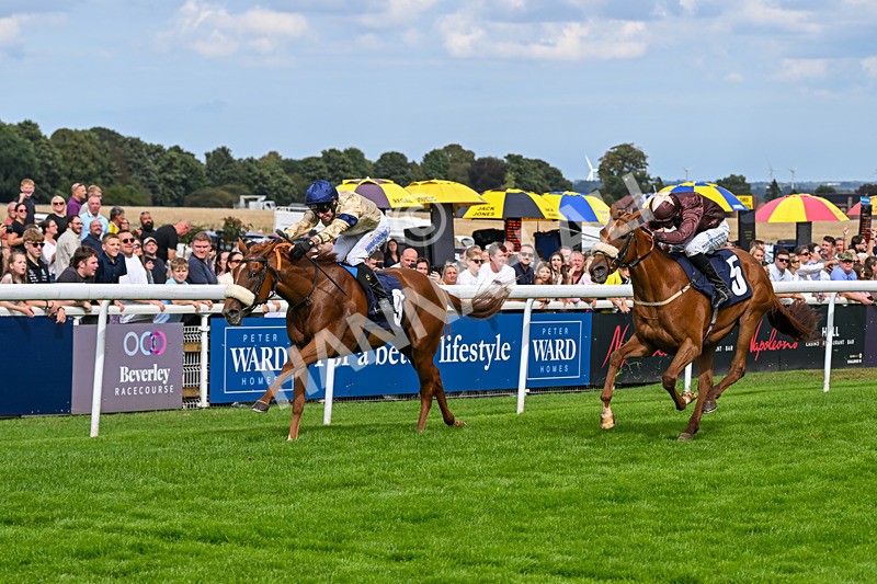 300826-Race 3-Pivotal Voyage-0187 - Race 3 2.50pm Churchill Tyres EBF Restricted Maiden Fillies' Stakes