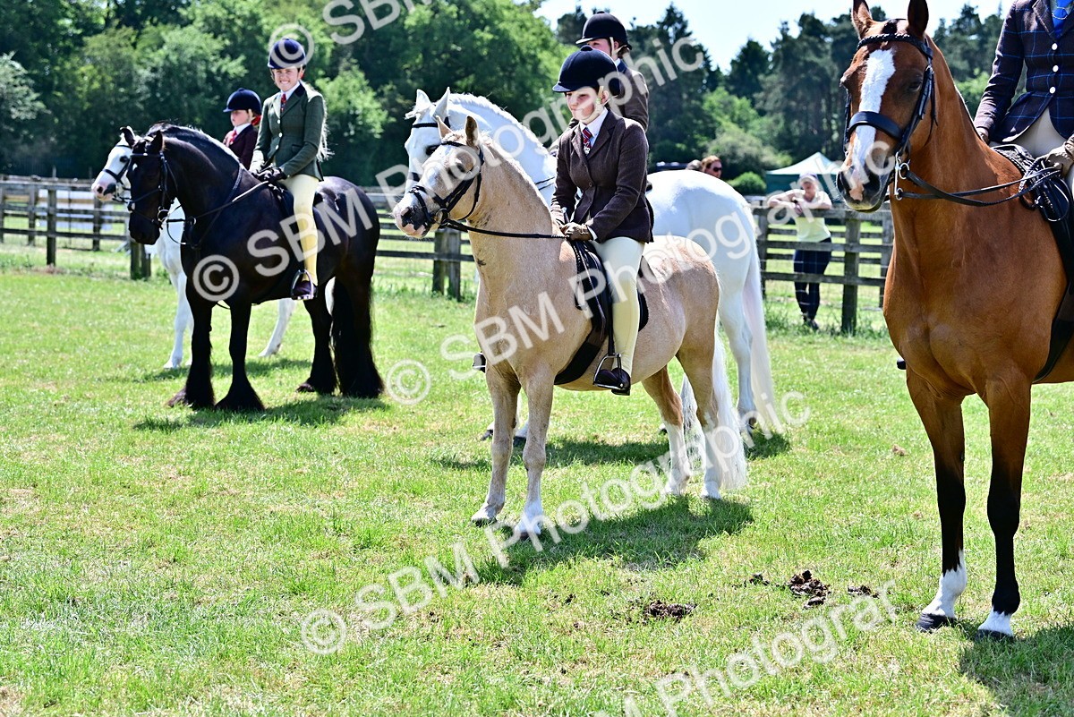 SBM_15418 - Class 95-97 - BSPS LHS Performance Ponies