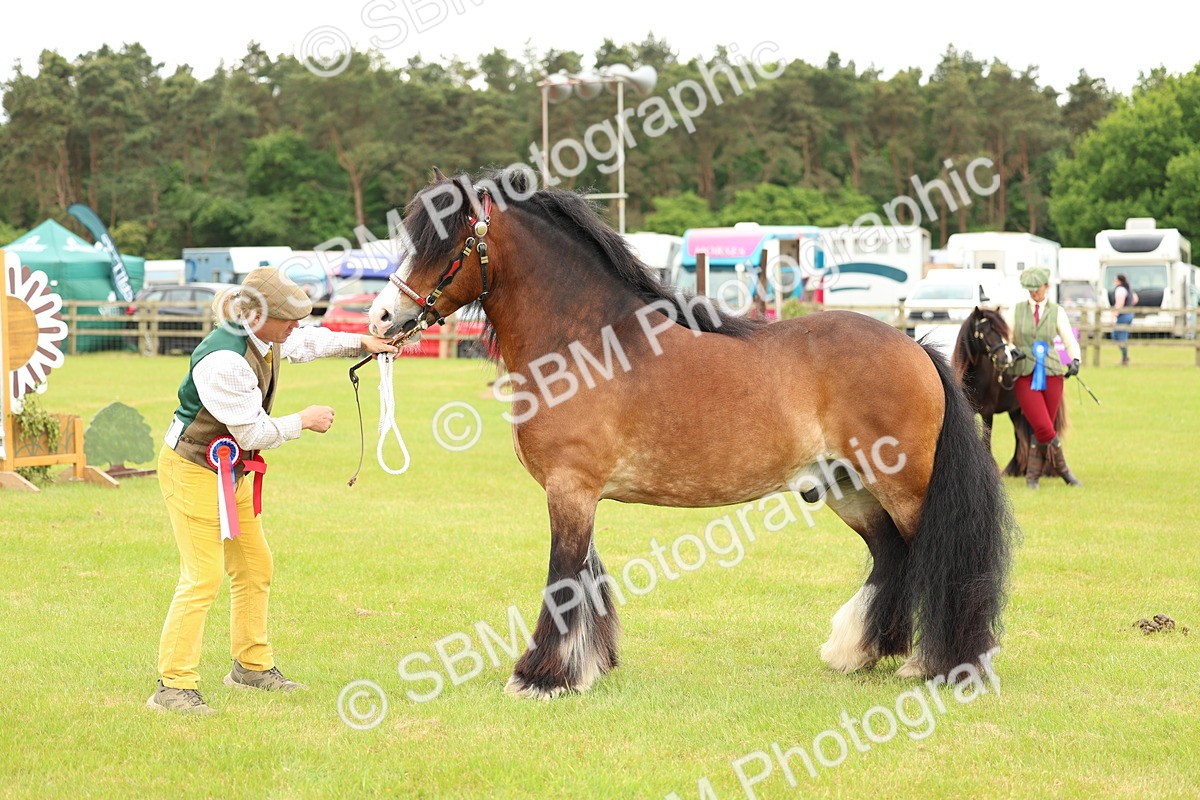 SBM_06316 - Class 39-41 TGCA In Hand and Ridden