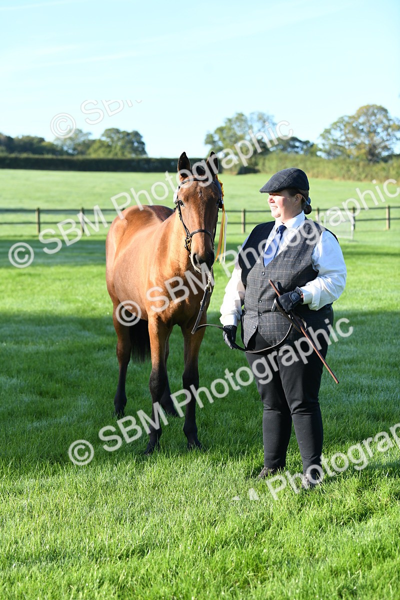 SBM_32854 - S15 - Condition & Turnout In Hand