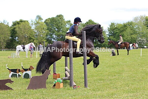 IMG_3266 - Working Hunter