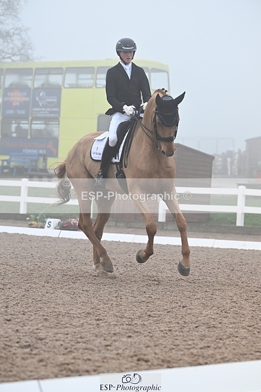 240217A-131519-02792 - 271-Tom.Carter-Rubin.Regal