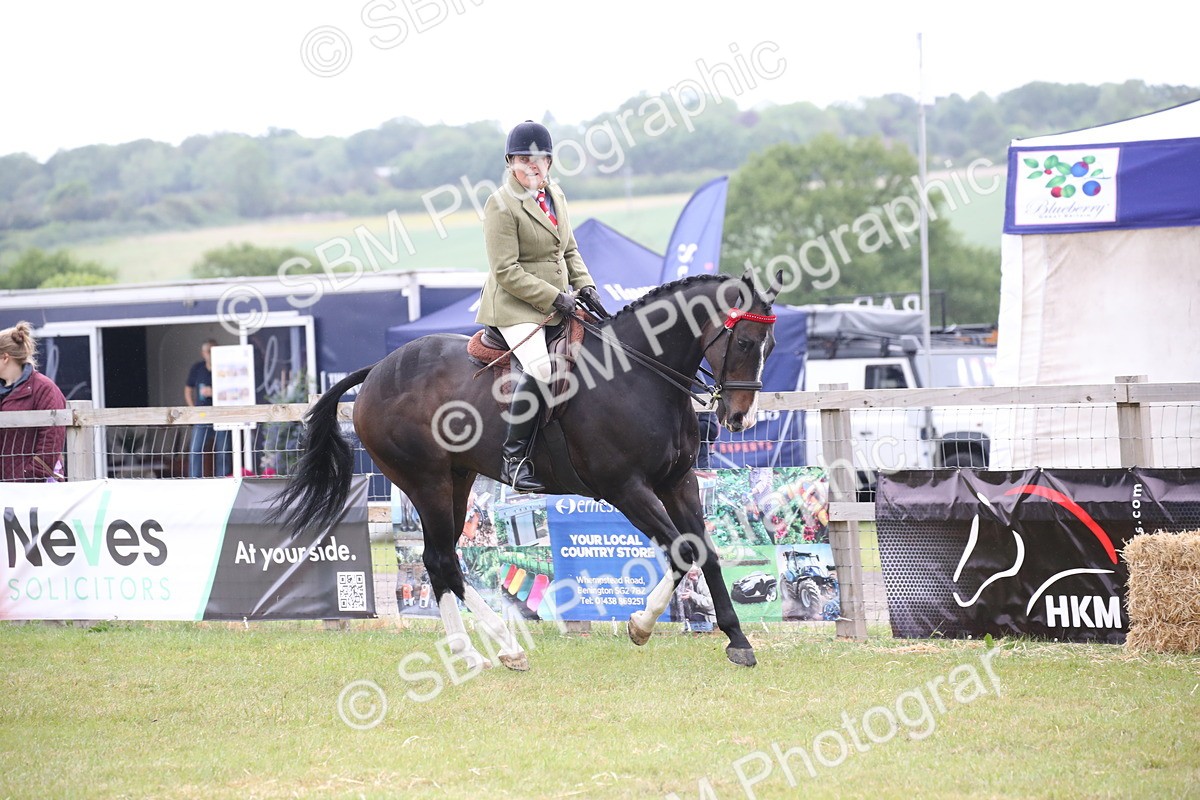 SBM_11424 - Class 94 - LIHS BSHA Racehorse to Showhorse