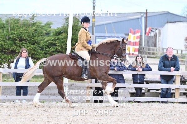 BPP_7992 - SUPREME CHAMPIONSHIP