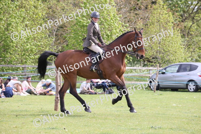 20260426-4342 - Class 34 - Best Riding Horse Over 14.2hh