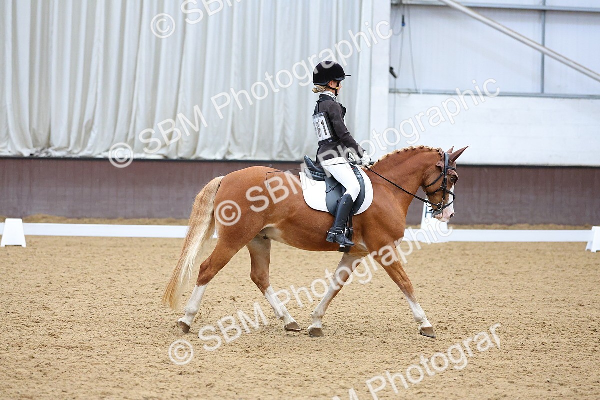 SBM_002949 - Novice