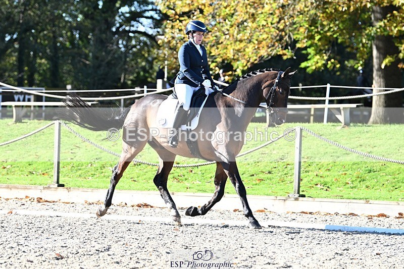 231110-105219-00227 - Cls 2 Prelim 17(a)Q