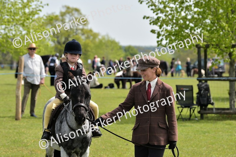 20260426-2324 - Class 20 - Beginner Working Hunter