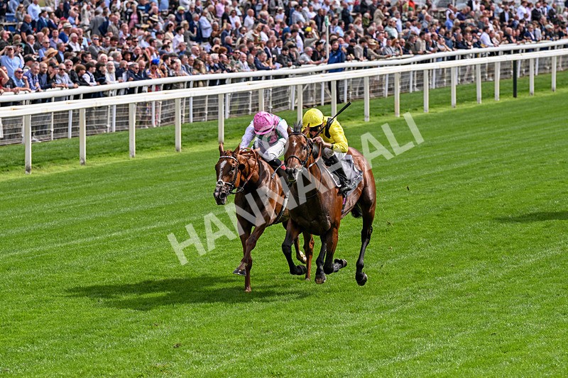 190826-Race 4-Item-0470 - Race 4 15.35pm Juddmonte International Stakes
